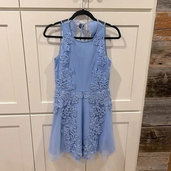 badgley mischka embroidered mesh dress Strapless Lace Appliqué Mini Dress